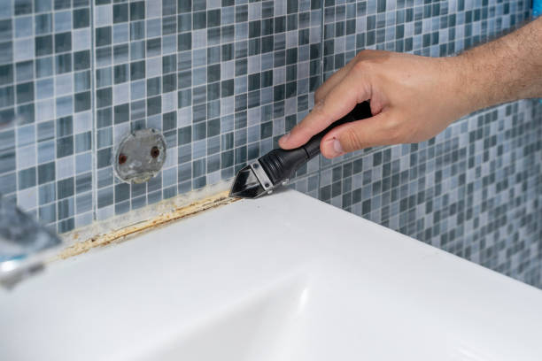 Mold Removal Process in Inola, OK