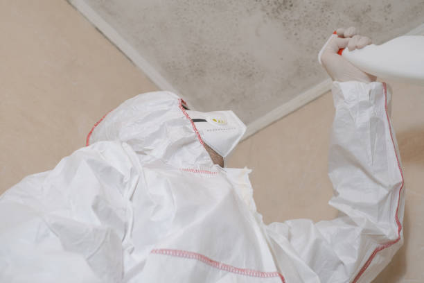 Best Mold Testing  in Inola, OK