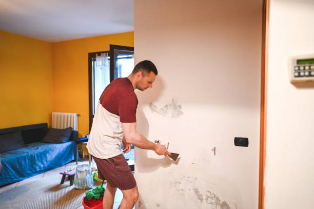 Best Crawl Space Mold Removal  in Inola, OK