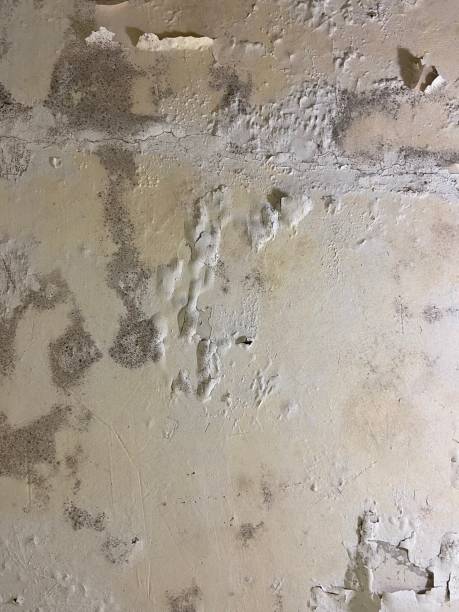 Crawl Space Mold Removal in Inola, OK